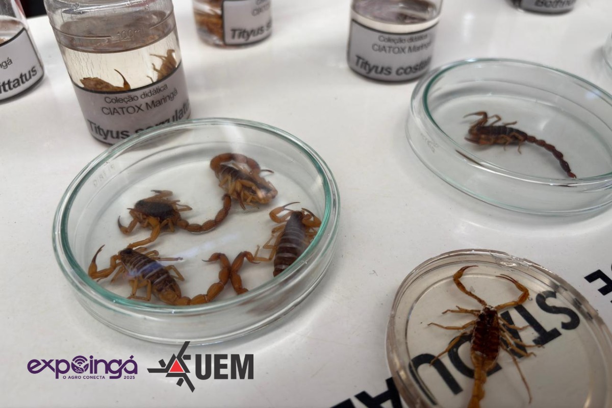 CIATox do HU da UEM divulga formas de prevenção a intoxicação